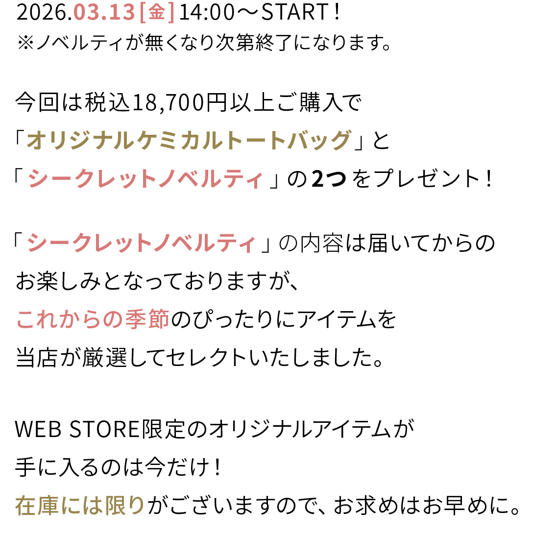 ノベルティフェア説明